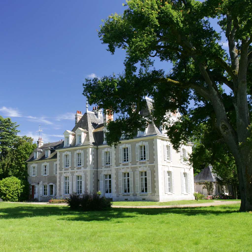 Chateau Du Breuil Cheverny Exterior photo